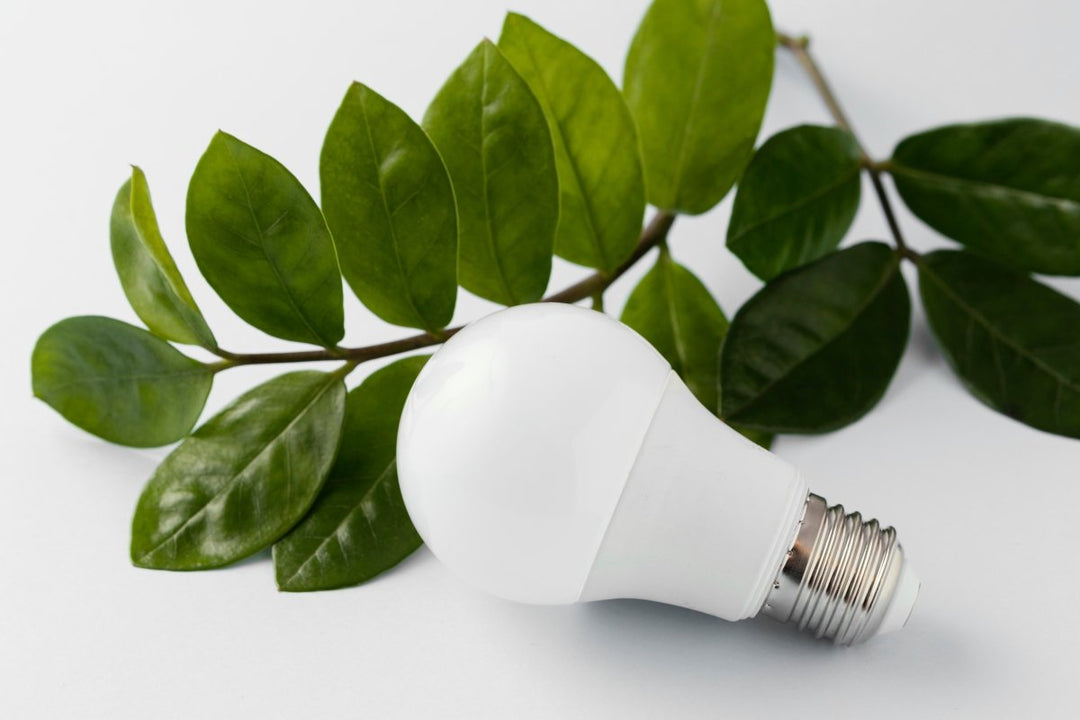 Comment économiser de l'énergie avec des lampes LED: Réduisez votre empreinte carbone - Halolight